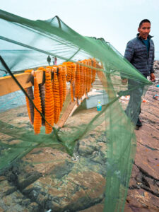 369d88b2-78c5-4c7c-b6d5-2117c1d30d76