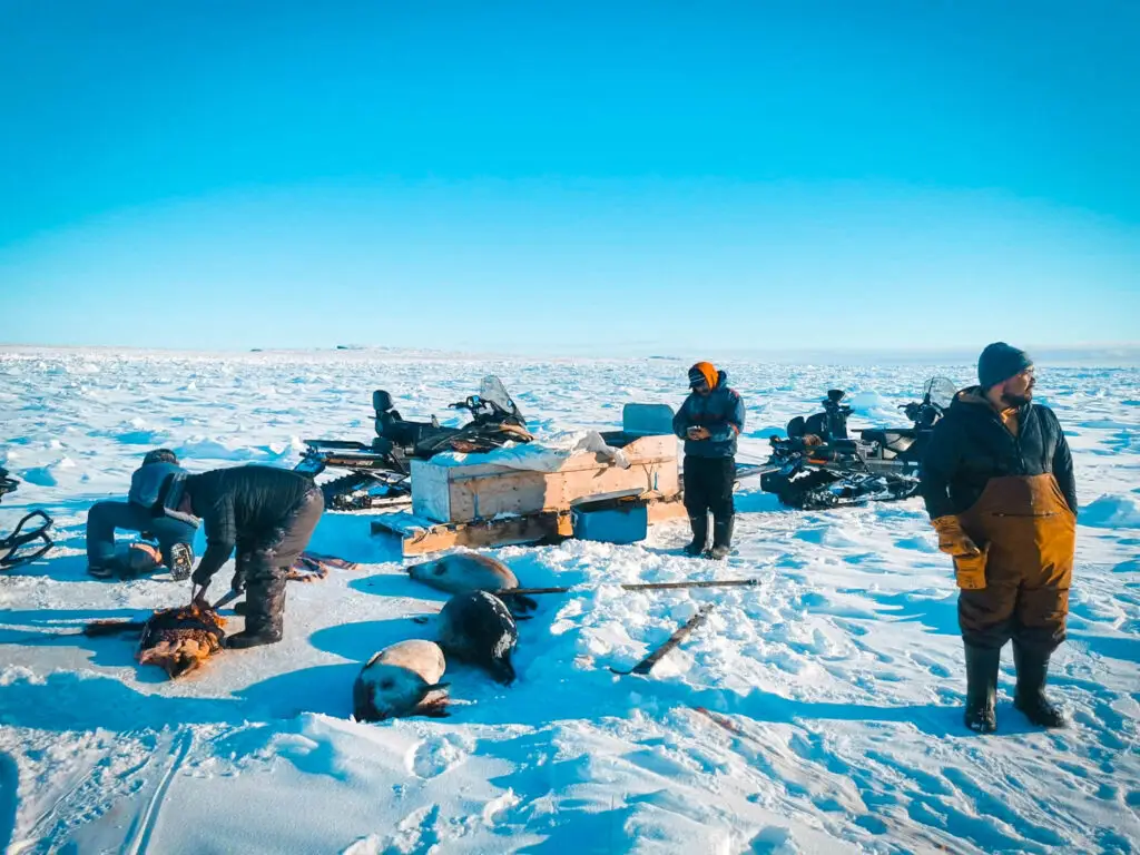 OTL Inukjuak_Seal Hunting-March 2026_15